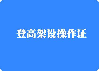 日韩欧美美女被大鸡巴操在线登高架设操作证